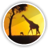 safari